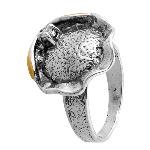 Silver and Gold Ring