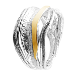 Silver and Gold Ring