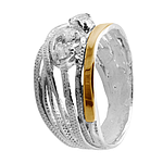 Silver and Gold Ring