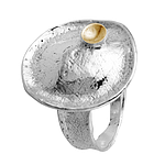 Silver and Gold Ring