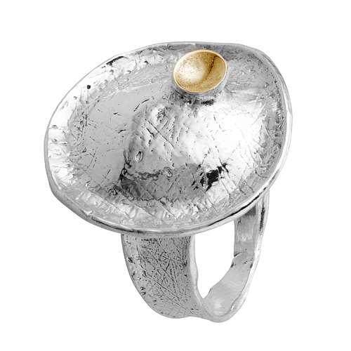 Silver and Gold Ring