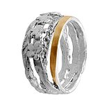 Silver and Gold Ring