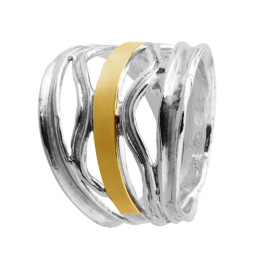 Silver and Gold Ring