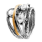 Silver and Gold Ring