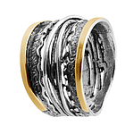 Silver and Gold Ring