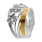 Silver and Gold Ring