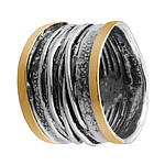 Silver and Gold Ring