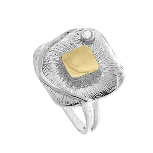 Silver and Gold Ring