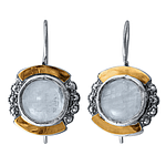 Silver and Gold Earrings