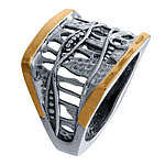 Silver and Gold Ring