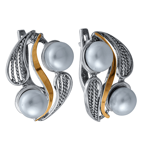 Silver and Gold Earrings