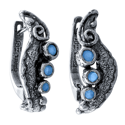Silver Earrings