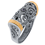 Silver and Gold Ring