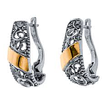 Silver and Gold Earrings