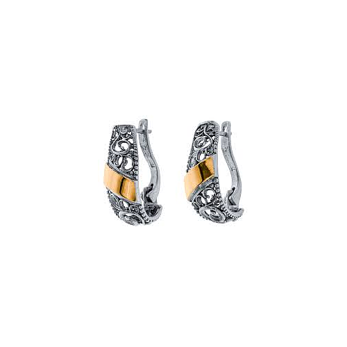 Silver and Gold Earrings