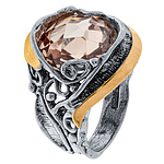 Silver and Gold Ring