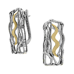 Silver and Gold Earrings