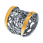 Silver and Gold Ring