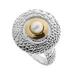 Silver and Gold Ring