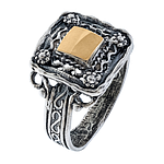 Silver and Gold Ring