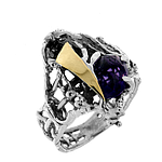 Silver and Gold Ring