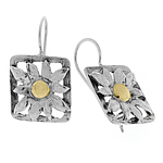 Silver and Gold Earrings