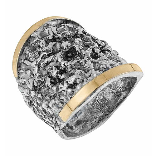 Silver and Gold Ring