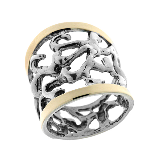 Silver and Gold Ring