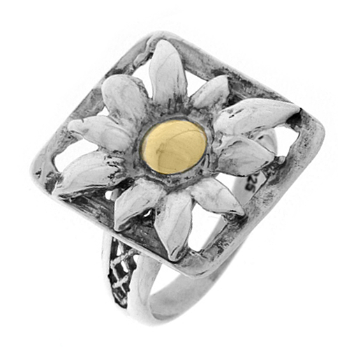 Silver and Gold Ring