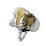 Silver and Gold Ring