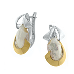 Silver and Gold Earrings