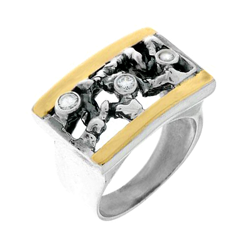 Silver and Gold Ring