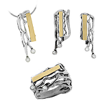 Silver and Gold Set