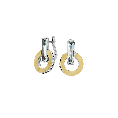 Silver and Gold Earrings