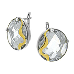 Silver and Gold Earrings
