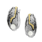 Silver and Gold Earrings