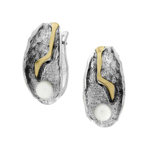 Silver and Gold Earrings