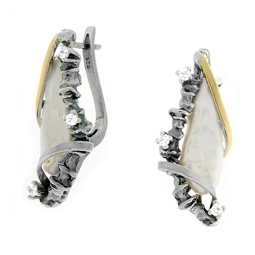 Silver and Gold Earrings