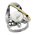 Silver and Gold Ring