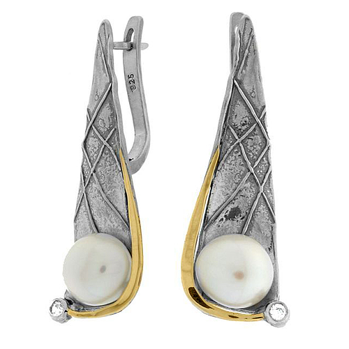 Silver and Gold Earrings