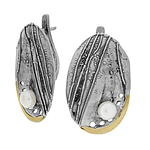 Silver and Gold Earrings