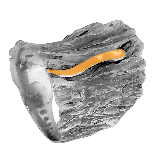 Silver and Gold Ring