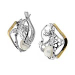 Silver and Gold Earrings
