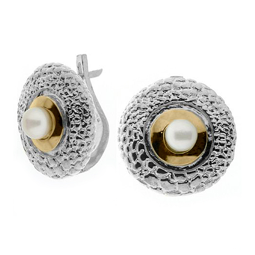 Silver and Gold Earrings