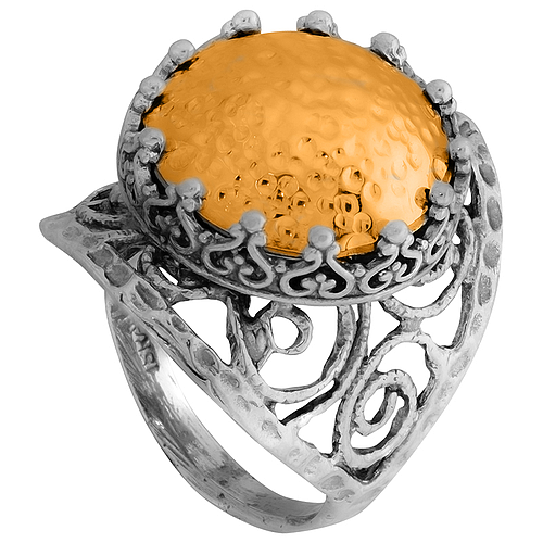 Silver and Gold Ring