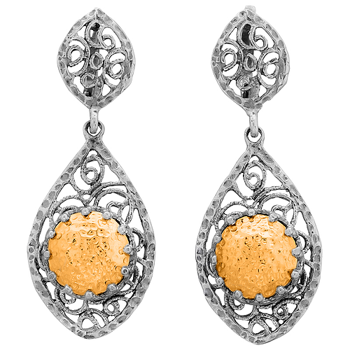 Silver and Gold Earrings