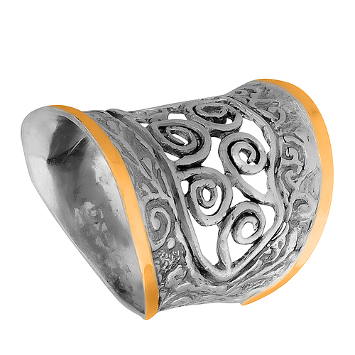 Silver and Gold Ring