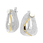 Silver and Gold Earrings