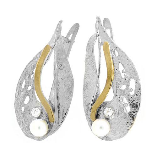 Silver and Gold Earrings