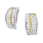 Silver and Gold Earrings